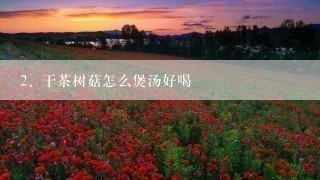 干茶树菇怎么煲汤好喝