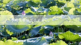 小鸡炖蘑菇怎么去油