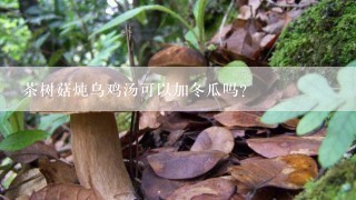 茶树菇炖乌鸡汤可以加冬瓜吗?