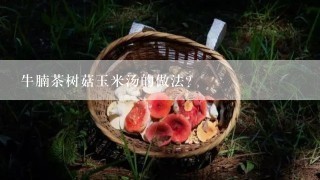 牛腩茶树菇玉米汤的做法？