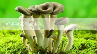 鲜茶树菇能放多久？
