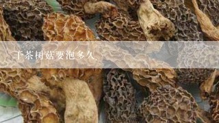 干茶树菇要泡多久