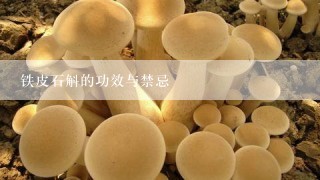 铁皮石斛的功效与禁忌