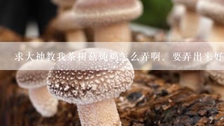 求大神教我茶树菇炖鸡怎么弄啊。要弄出来好吃。汤要鲜。材料要啥子。求帮忙啊。我在此谢过了