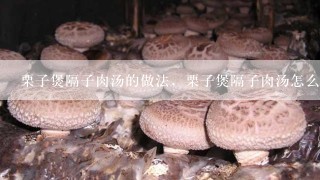 栗子煲隔子肉汤的做法，栗子煲隔子肉汤怎么做