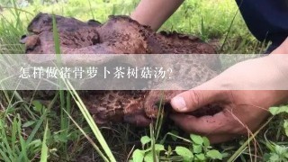 怎样做猪骨萝卜茶树菇汤？