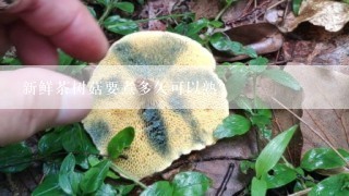 新鲜茶树菇要煮多久可以熟？