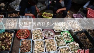 种植十万袋茶树菇有多少利润？