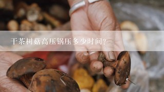 干茶树菇高压锅压多少时间？