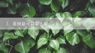 茶树菇可以怎么做