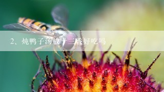 炖鸭子汤放十三香好吃吗