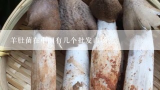 羊肚菌在中国有几个批发市场？