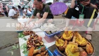 蔬菜种类大全图片名称