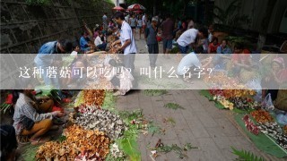 这种蘑菇可以吃吗？叫什么名字？