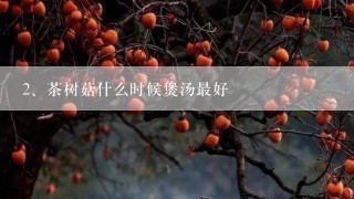 茶树菇什么时候煲汤最好