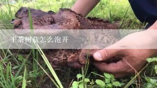 干茶树菇怎么泡开