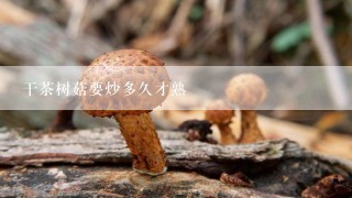 干茶树菇要炒多久才熟