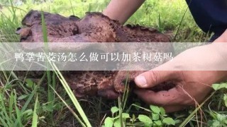 鸭掌苦茭汤怎么做可以加茶树菇吗