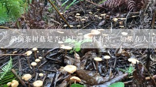 采摘茶树菇是否对认得身体有害，如果在人工种植的茶树菇棚里采摘是不是有害身体?