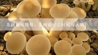 茶树菇炖排骨，茶树菇什么时候放入锅？