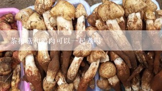 茶树菇和鹅肉可以一起煮吗