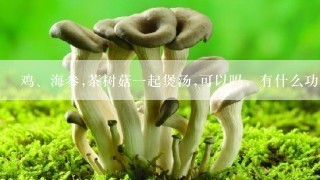 鸡、海参,茶树菇一起煲汤,可以吗，有什么功效