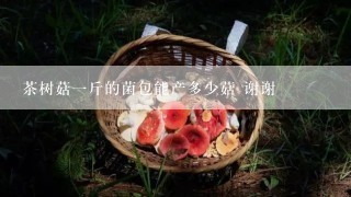 茶树菇一斤的菌包能产多少菇 谢谢