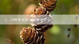 20种常见的食用菌是什么?