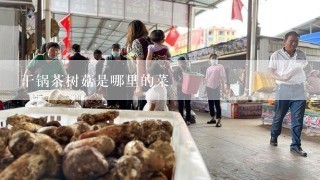 干锅茶树菇是哪里的菜