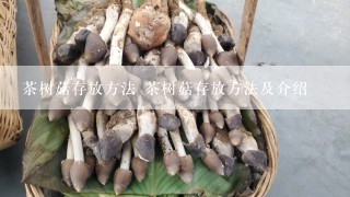 茶树菇存放方法 茶树菇存放方法及介绍