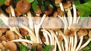 茶树菇炖肉汤的做法