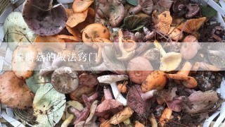榛蘑菇的做法窍门