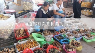 大家好，知道哪有卖茶树菇的吗