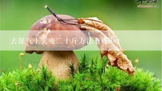 去湿气十天瘦二十斤方法有哪些？