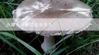 鱼罐头开封后能放多久