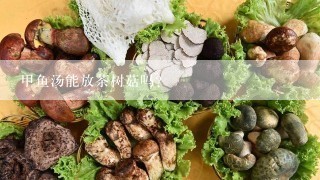 甲鱼汤能放茶树菇吗？