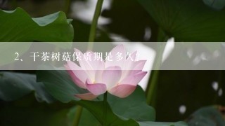 干茶树菇保质期是多久？