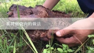 茶树菇烧肉的做法