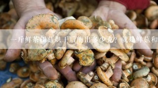 一斤鲜茶树菇烘干后能出多少克？就是鲜菇和干菇的比例多少？