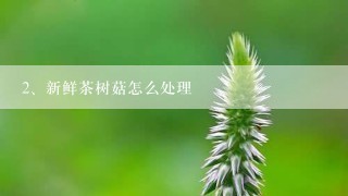 新鲜茶树菇怎么处理