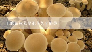 干的茶树菇要泡多久才能炒？