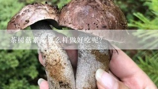 茶树菇素菜怎么样做好吃呢？
