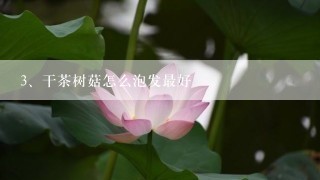 干茶树菇怎么泡发最好