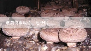 蘑菇能跟腐竹一起炒吗