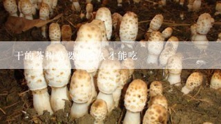 干的茶树菇要泡多久才能吃