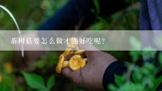 茶树菇要怎么做才能好吃呢？