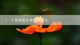 干茶树菇正确吃法大全