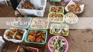 如何煲茶树菇虾仁汤