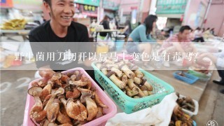 野生菌用刀切开以后马上变色是有毒吗？