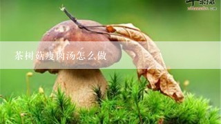 茶树菇瘦肉汤怎么做